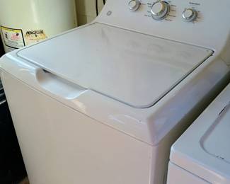GE washer also works great...we have used them both!