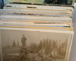 Antique Grand Rapids and Michigan Cities Postcards