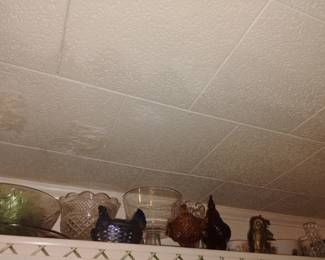 Hens on the nest