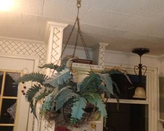 Hanging plant