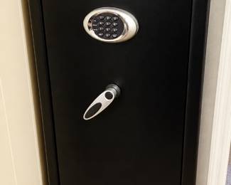 Sentry Safe Gun Safe