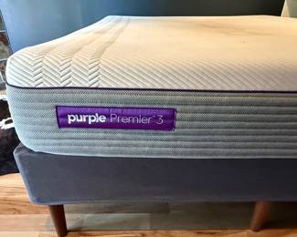 Purple Premier 3