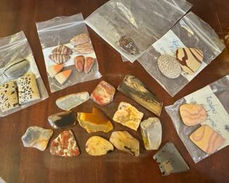 Polished Stones Petrified Wood  Opal