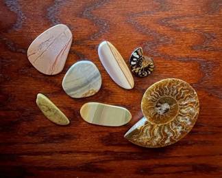 Cut  Polished Ammonite With Poly Chrome Jasper Stones