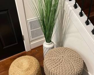 Stools And Plant