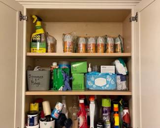 Household Chemical Lot