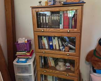 One of several Bookcases and lots of Books!