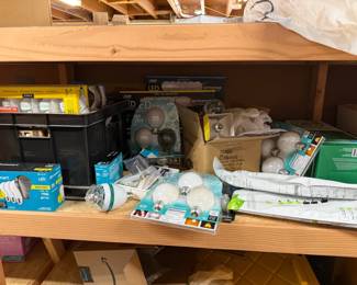Light Bulb & More Lot
