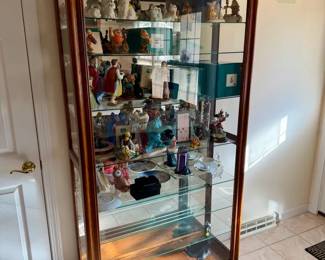 Stunning Illuminated Display Case