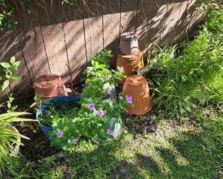 Garden area with clay pots and flowering plants