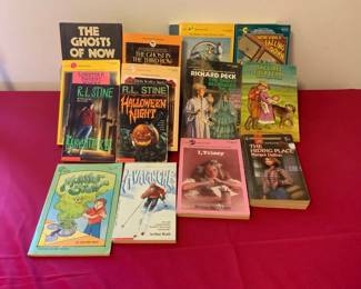 Variety of Childrens Fiction Books