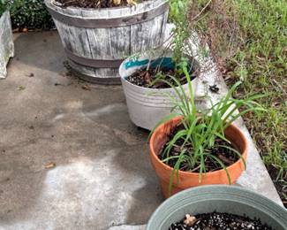 Assorted Garden Planter Collection