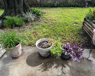 Collection of Four Assorted Garden Planters