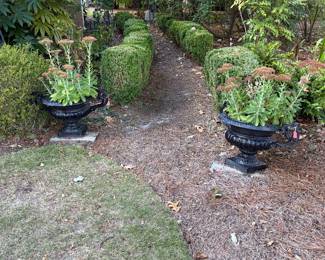 Beautiful assorted pots