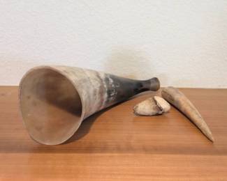 Lot 003 Animal Horn Two Tooth or Tusk Specimens Natural History Lot