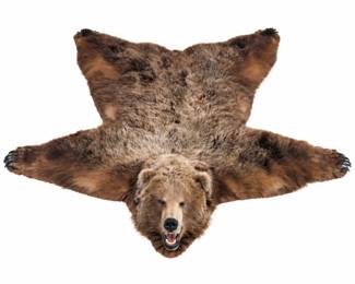 Lot 001 Bear Hide Taxidermy Rug with Mounted Head Claws