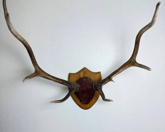 Lot 021 Large Mounted Elk Antlers on Wooden Shield Plaque Rustic Taxidermy