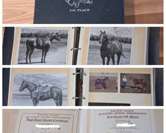 Lot 096 Vintage 1970s Quarter Horse Scrapbook Rusty Par Three Champion Stallion, Photos Memorabilia