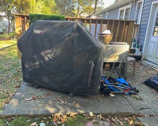 Weber Grill