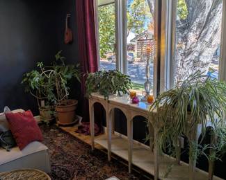 Arched console table with marble top, whitewashed wood with lower shelf. Christmas cactus in carved pot, spider plant.