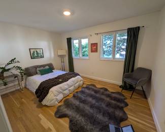 Bed with bedding. Gray faux fur sheepskin rug. Green velvet curtains (pair). Chrome floor lamp. Metal shelf. ZZ plant. Faux fur throw.