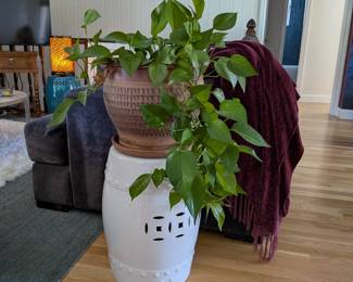 Large golden pothos in a carved terracotta pot with saucer. White ceramic garden stool/plant stand. Burgundy chenille throw with fringe.
