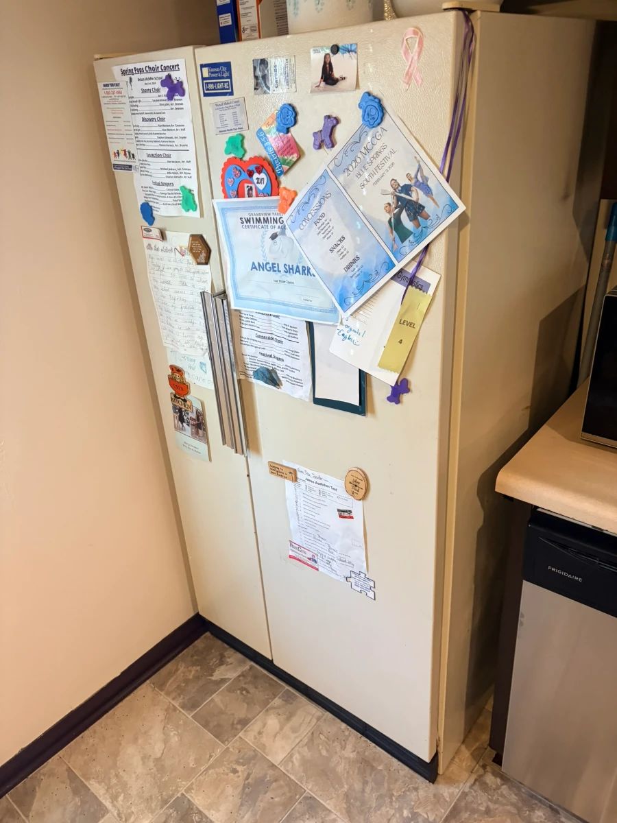 Side-by-side refrigerator $200