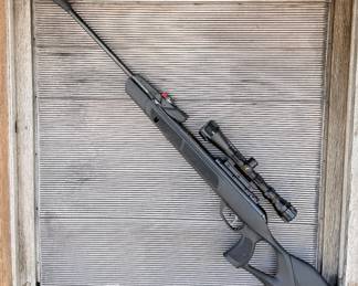 .22 Cal pellet gun