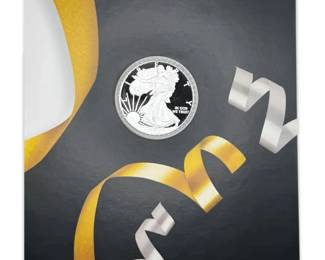 999 Fine Silver 2013W American Eagle Proof U.S. Mint