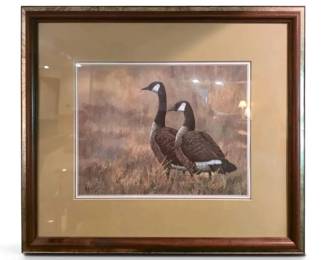 Canadian Goose 22.5 X 26.5 Framed Print By Christopher Forrest