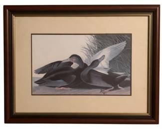 396 - Dusky Duck by Audubon Framed Print - 16 x 20.5