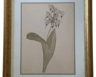 480 - Shooting Star by William Crutchfield Print w/seal (Description): 15 x 12.5