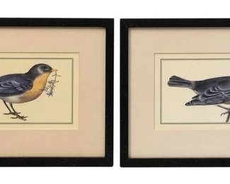 129 - Pair of Framed Bird Prints - 10 x 14