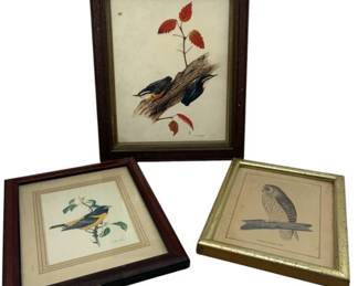 130 - Assorted Framed Bird Prints