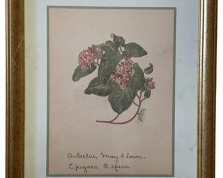 479 - Arbutus by William Crutchfield Print w/seal (Description): 15 x 12.5