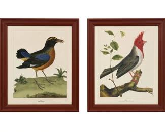 89 - 2 Framed Bird Prints - 19 x 16 ea