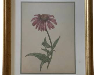 494 - Purple Cone Flower by W. Crutchfield Print w/seal (Description): Framed Print 15 x 12.5