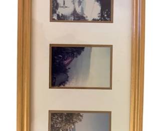 769 - Framed Art 21"x10" (Description): Framed art piece measuring 21 inches by 10 inches. The frame displays three photographs arranged vertically within a single mat.