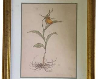 465 - Small Yellow Ladies Slippers Framed Print (Description): By William Crutchfield 15 x 12.5