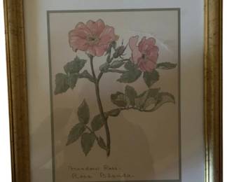 446 - Meadow Rose by William Crutchfield Print w/ seal (Description): 15 x 12.5