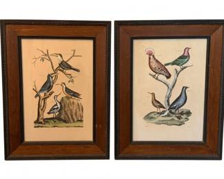 109 - Pair of Framed Bird Prints - 25 x 18
