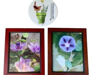 1018 - 2 Frames & Thermometer (Description): A lot consisting of two frames and a thermometer. The frames feature decorative imagery, and the thermometer displays a nature-inspired design.