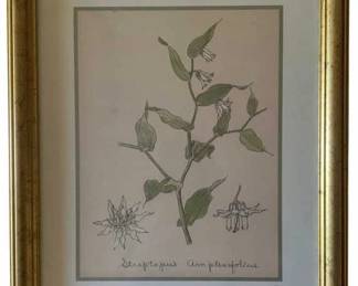 440 - Twisted Stalk by W. Crutchfield Print w/ seal (Description): 15 x 12.5