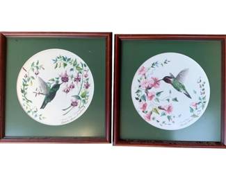 1011 - Pair Framed Bird Prints 13"x13" (Description): A pair of framed bird prints, each measuring 13 inches by 13 inches. The prints feature hummingbirds amid floral arrangements, presented with green matting in matching wooden frames.