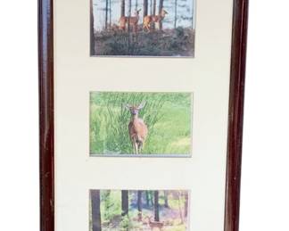 1091 - Framed Deer Photos 21"x11.5" (Description): A framed display featuring three deer photographs arranged vertically. The images capture deer in natural woodland and meadow settings. The photographs are matted and presented in a dark wood frame. Measures 21 inches by 11.5 inches.