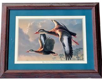 1131 - James Hautman Print 11.5"x18.5" (Description): James Hautman print depicting Black Bellied Whistling Ducks in flight. Presented in a dark wood frame with teal and cream matting. Measures 11.5" x 18.5".