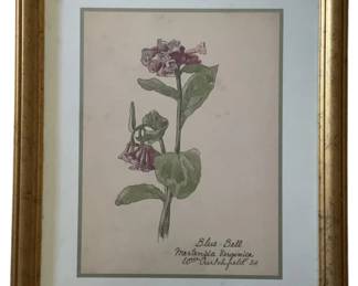 481 - Blue Bell by William Crutchfield Print w/seal (Description): 15 x 12.5