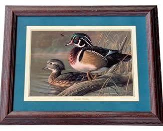 1130 - James Hautman Wood Duck Print 11.5"x18" (Description): James Hautman print featuring a wood duck scene. The print measures 11.5 inches by 18 inches and is presented in a dark wood frame with teal and cream matting.