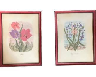 719 - Pair Botanical Frames 16"x12" (Description): A pair of botanical frames featuring floral illustrations. Each frame measures 16 inches by 12 inches.