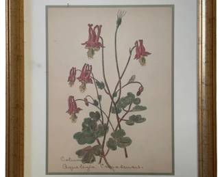 478 - Columbine by William Crutchfield Print w/seal (Description): 15 x 12.5